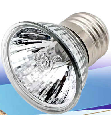 Halogen Lamp